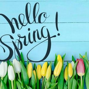 For @enchanted_swift_